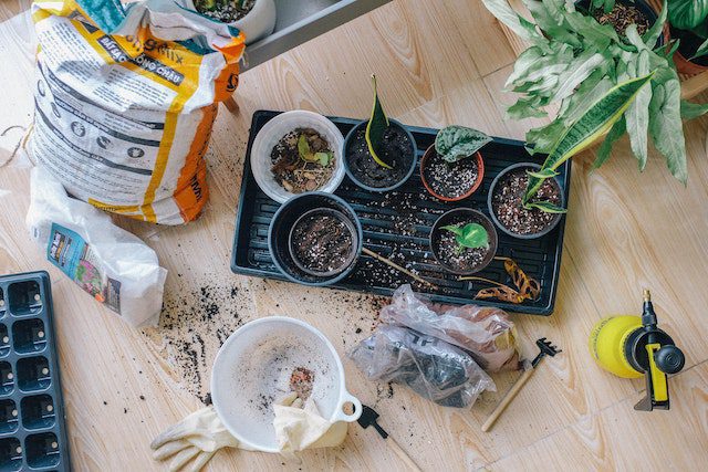 10 eenvoudige tips voor het onderhoud van je tuin