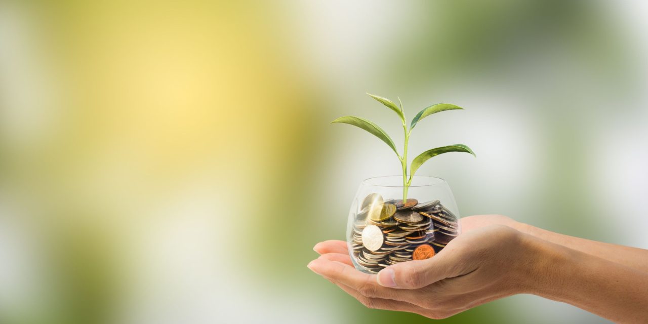 NVB benadrukt belang van rendabele duurzaamheid, politieke steun nodig volgens voorzitter