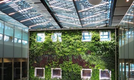 Groene Gebouwen: Duurzame Oplossingen voor de Toekomst