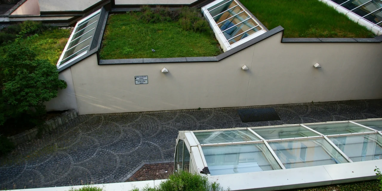 Groene daken: Een duurzame oplossing voor stedelijke uitdagingen