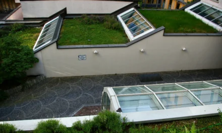 Groene daken: Een duurzame oplossing voor stedelijke uitdagingen